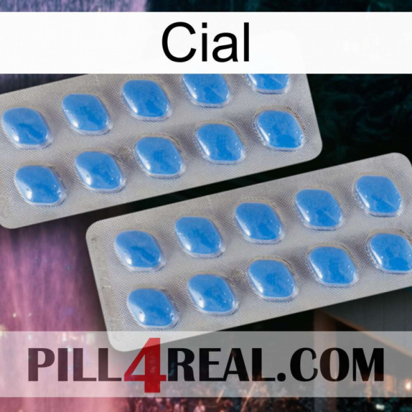 Cial 23